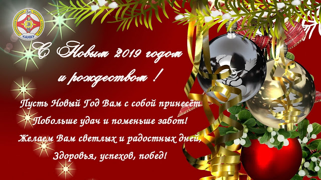 Read more about the article С Новым 2019 годом и рождеством!